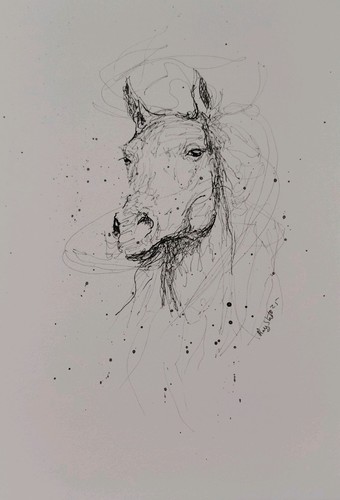 Original horse ink sketch 18 - ink,