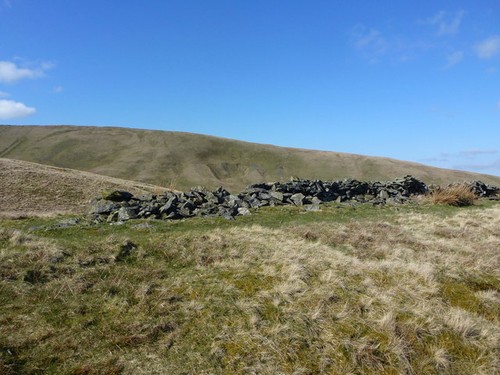 Photo remains sheep - of,