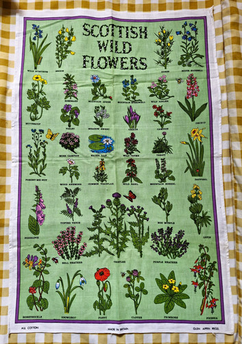 Vintage unused cotton - unused,