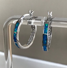 Abalone Shell Hoop Earrings