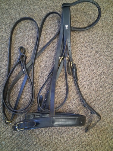 English bridles for - bridles,
