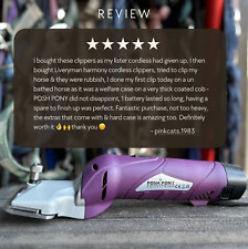 POSH PONY Cordless Horse