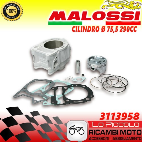 3113958 malossi thermal group - thermal,