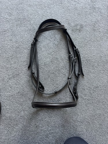 Bridle with equus - bridle, reins
