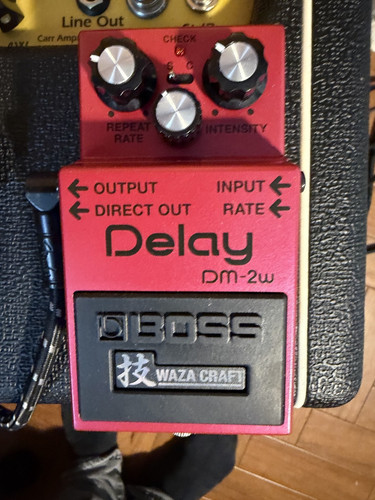 Boss delay pedal - dm-2w,