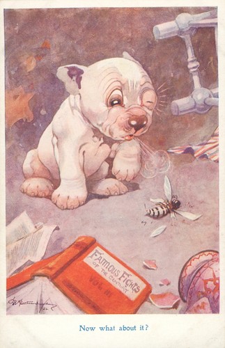 Bonzo postcard george - bonzo,