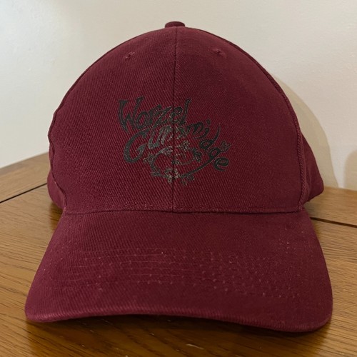 Worzel gummidge 2019 - gummidge, &