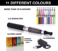 Electronic Shisha Rechargeable E Sheesha Pipe Vapor Pen & 5 Liquid