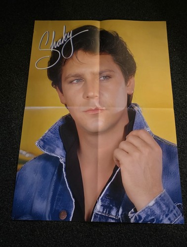 Shakin stevens poster size - stevens, a2