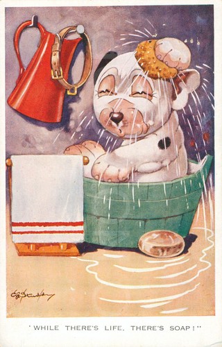 Vintage postcard bonzo - vintage,