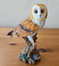 Barn Owl Perched On A Tree