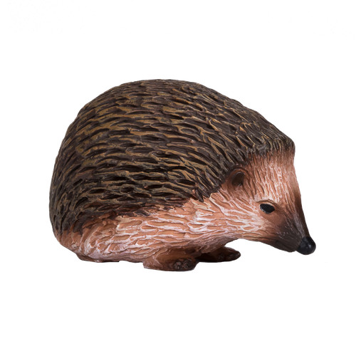 Mojo hedgehog wild countryside - mojo,