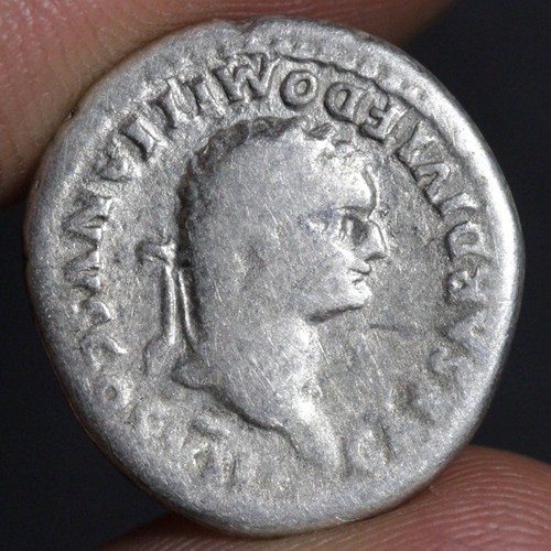 Domitian caesar denarius - domitian,