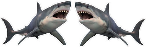 Shark fishing angling stickers - shark,