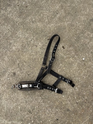 Cavesson lunging headcollar - cavesson,