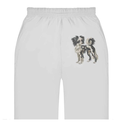 Chinese crested dog adult - 'chinese,