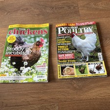 BN 2 chicken magazines Your