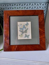 Vintage 1950s/1960s Polished