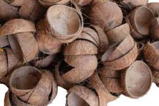 Raw Coconut Shells | New  |