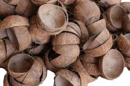 Raw coconut shells new - raw,