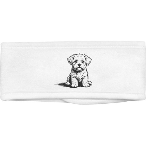 Maltese puppy sitting - 'maltese, beauty