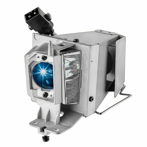 Fu195b projector bulb - projector,