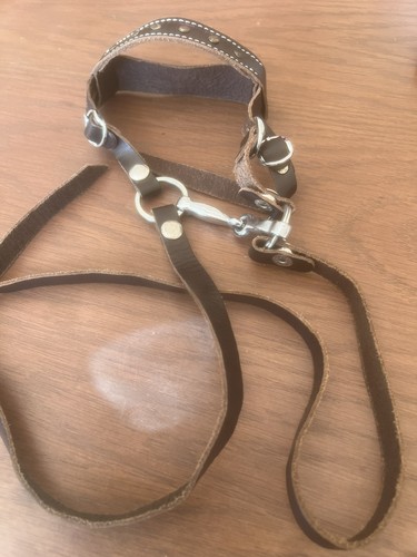Crafty ponies western - crafty,