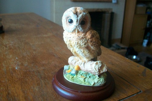 Border fine arts tawny owl - border,