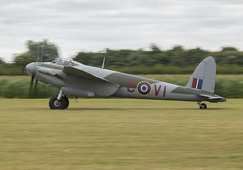 Mosquito hj711 canvas print - hj711,