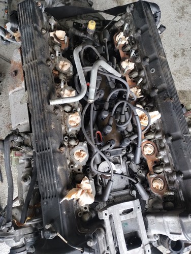 Jaguar xjs v12 - jaguar, ,