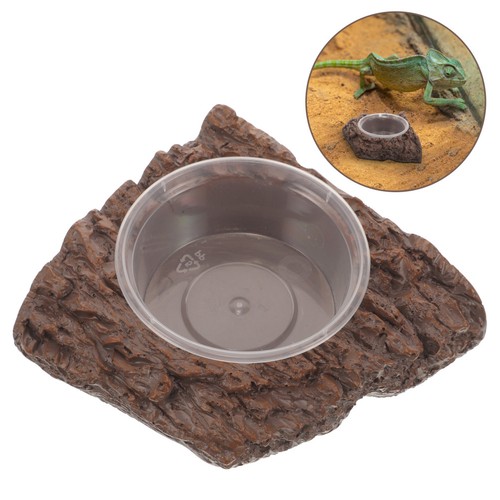 Reptile feeding basin corner - reptile,