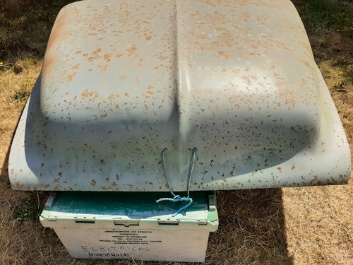 Ford f100 bonnet - ford, (1953
