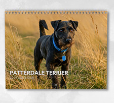 Patterdale Terrier Calendar 2026: Monthly Wall Calendar with Notes, opens to A3