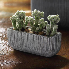 Loaf shape Rectangular