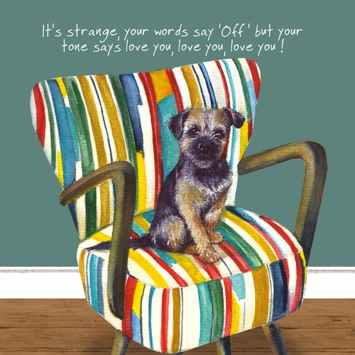 Border terrier greeting - greeting, card