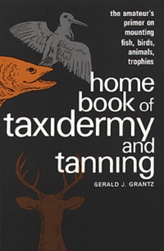 Home book taxidermy - home, of