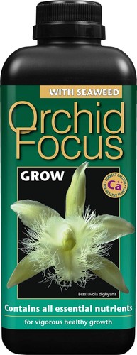 Growth technology ltd gtofg1 - growth,