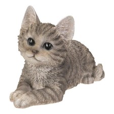 PT Pacific Trading Grey Tabby