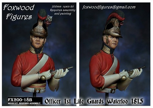Officer 1st life guards - life,