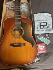 Eko d50 sunburst - ‘82,