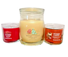 🎄 YANKEE CANDLE HOLIDAY