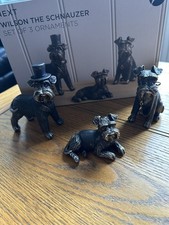 Next Wilson Schnauzer  Dogs