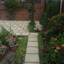 Old style paving flag stones