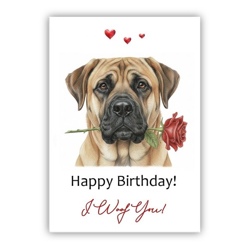English mastiff dog birthday - dog,