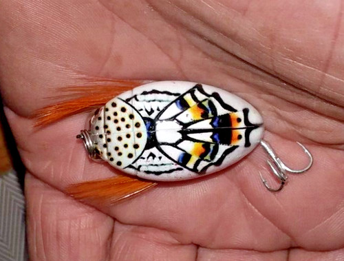 Prunanm water beetle bug - water,