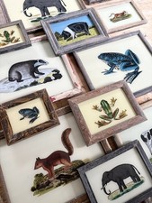 Animal Reverse Glass Paintings