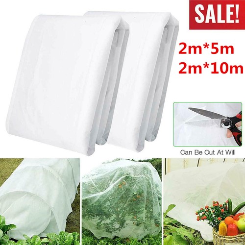10m garden plant - 5m, /