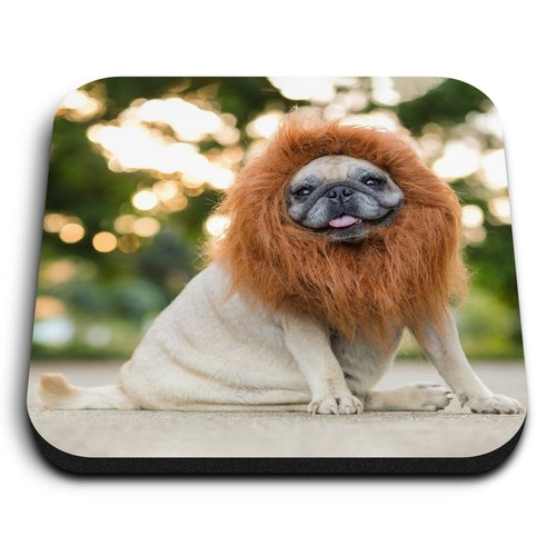 Square mdf magnets cute - magnets,