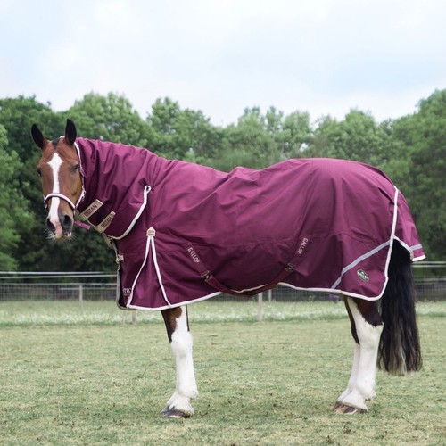 Gallop equestrian trojan xtra - equestrian,
