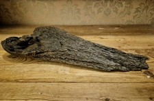 Natural Unique Driftwood Piece